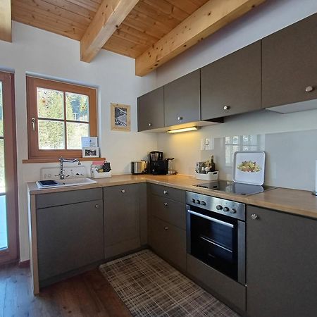 Tauerndorf Enzingerboden Ski In&Out - Steinbock Lodges Luaran gambar