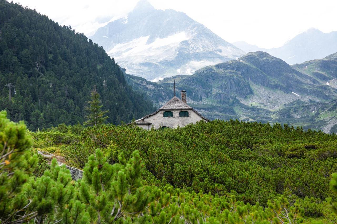 Tauerndorf Enzingerboden Ski In&Out - Steinbock Lodges Luaran gambar